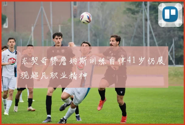 东契奇赞詹姆斯训练自律41岁仍展现超凡职业精神
