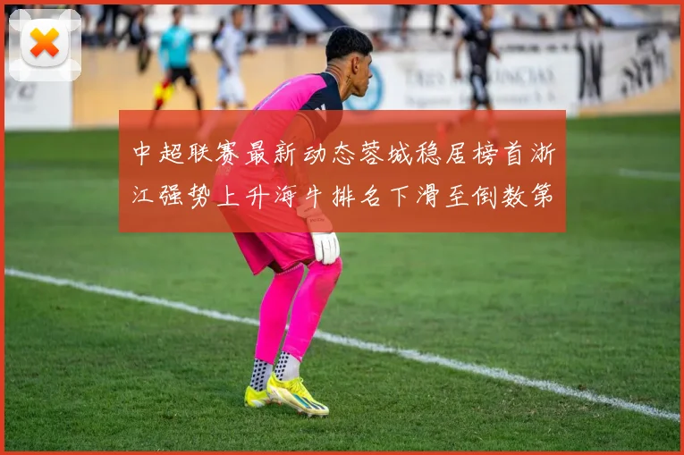 中超联赛最新动态蓉城稳居榜首浙江强势上升海牛排名下滑至倒数第三
